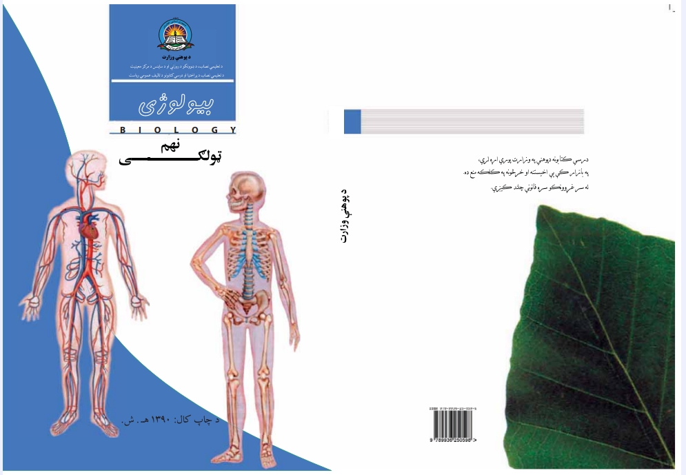 کیمیا