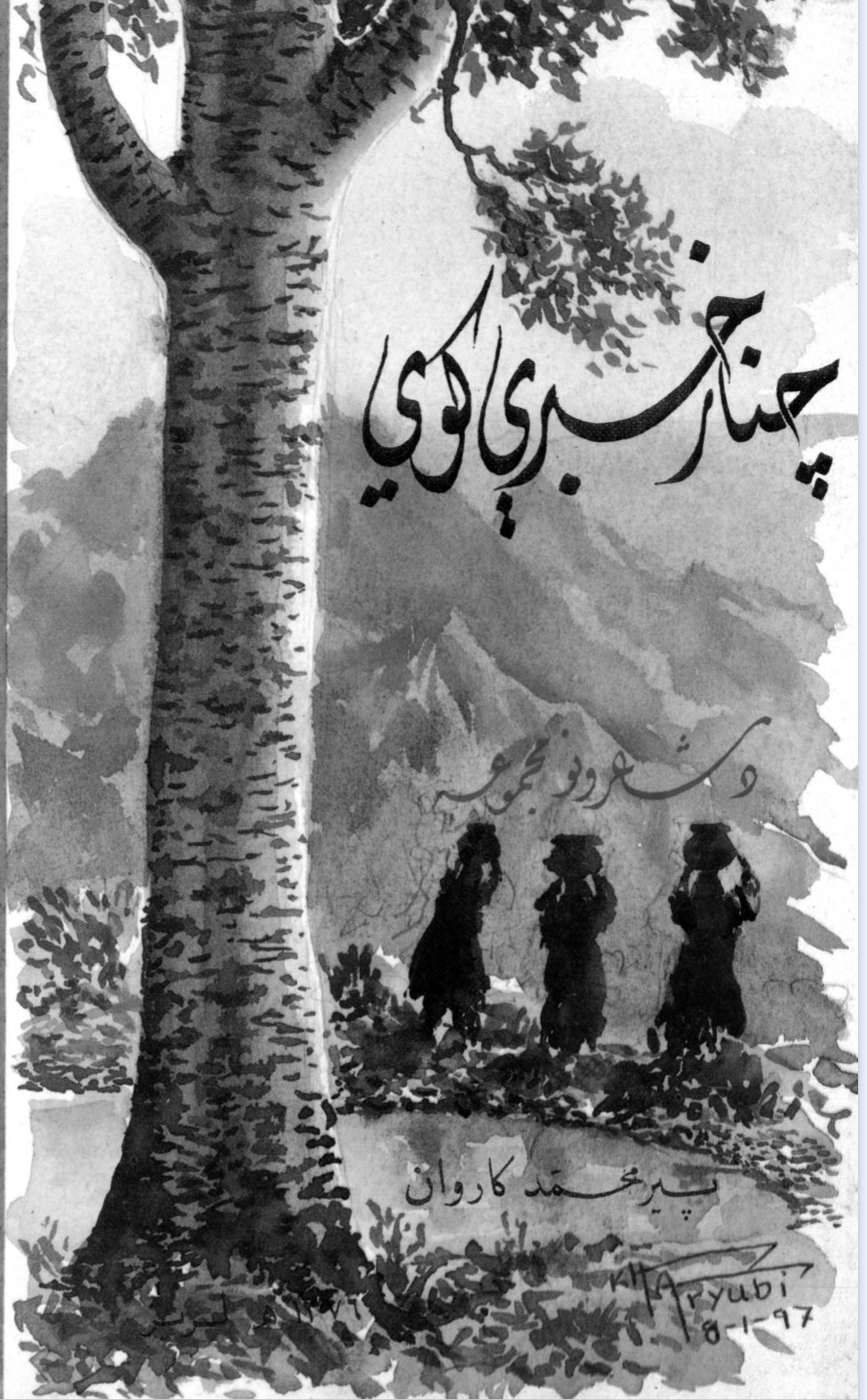 چنار خبري کوي