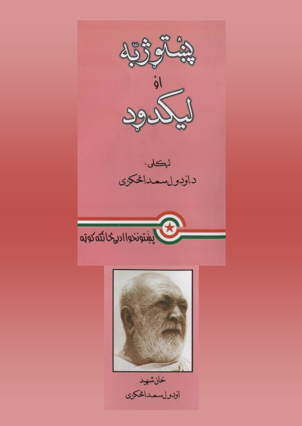 پښتو ژبه او لیکدود