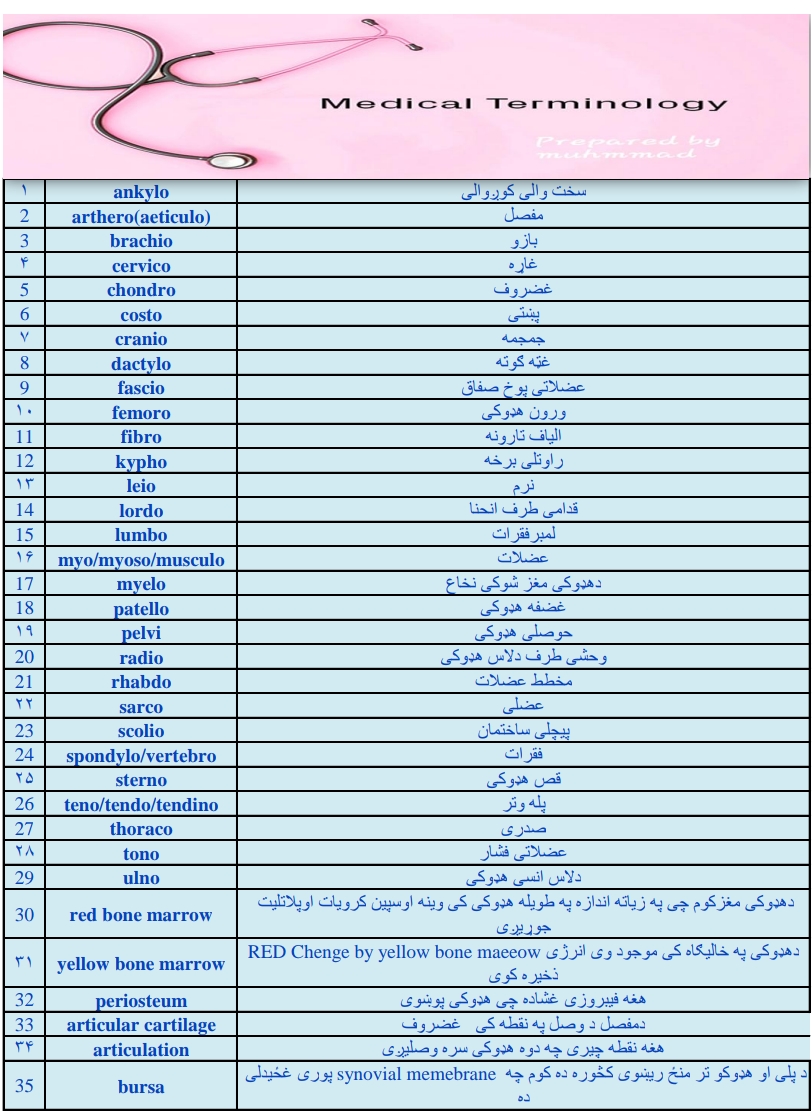 طبي لغاتونه