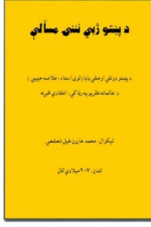 د پښتو ژبي ننۍ مسئلې