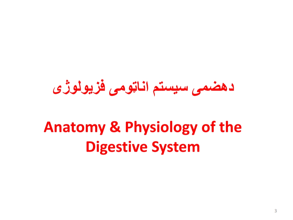 د هاضمي سيستم اناټومي او فيزيولوژي