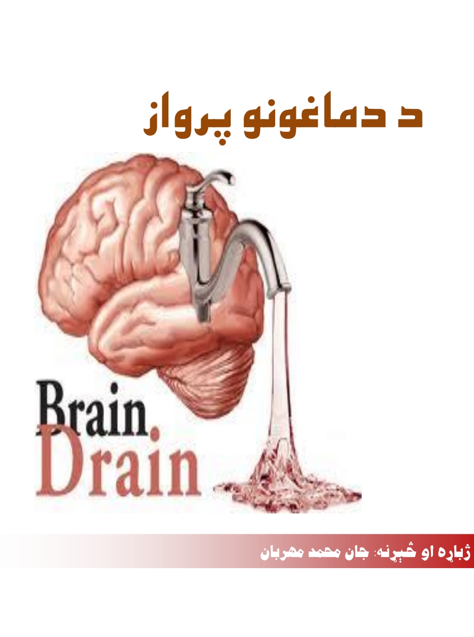 د دماغونو پرواز