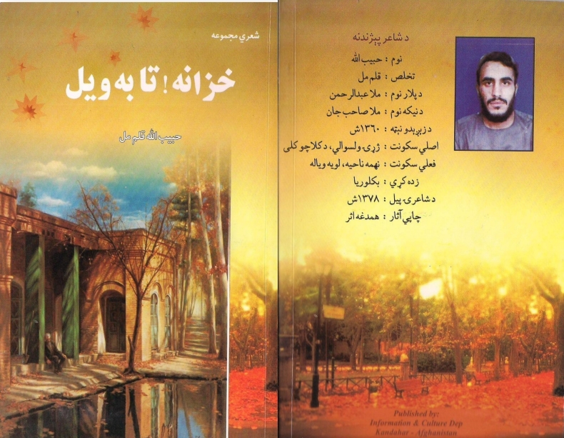 خزانه تا به ویل