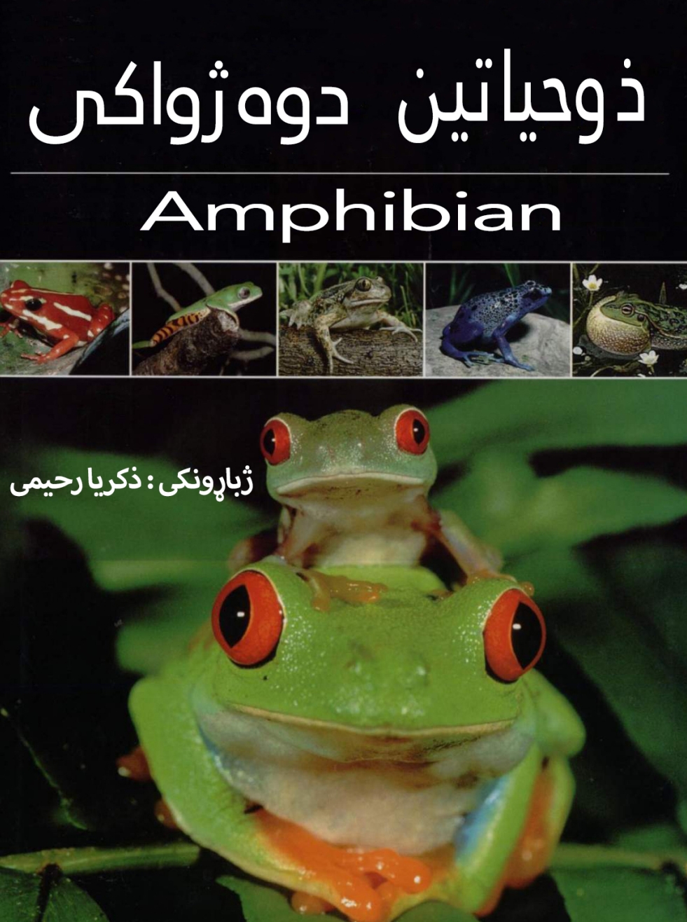 د افغانستان لرغونی تاریخ ژبي او لیکدودونه