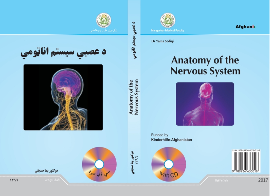 د عصبي سیسټم اناټومي