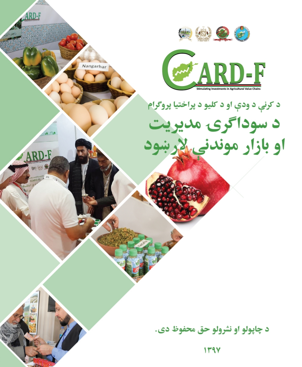 د سوداګرۍ مدیریت او بازار موندني لارښود