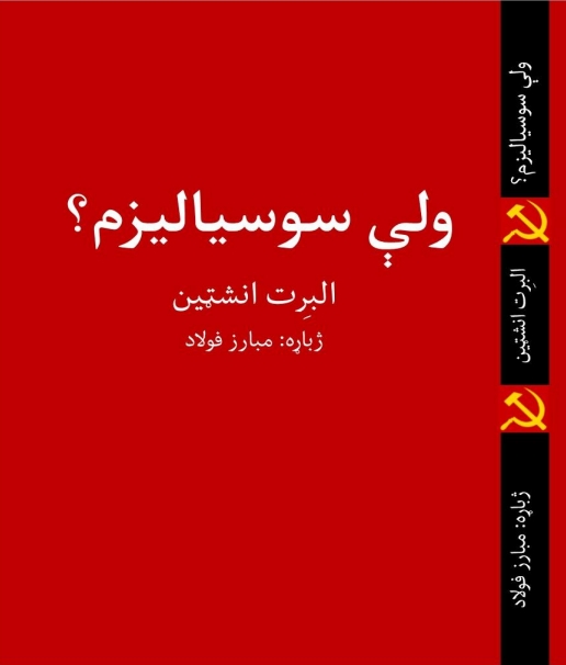 ولي سوسیالیزم