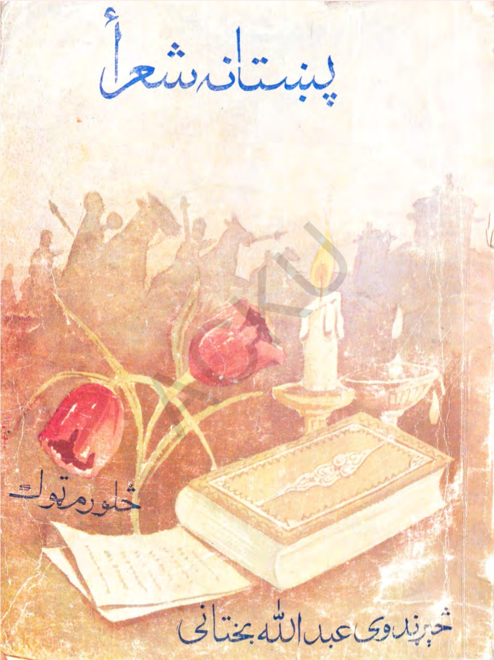 پښتانه شعرا - ٤ جلد