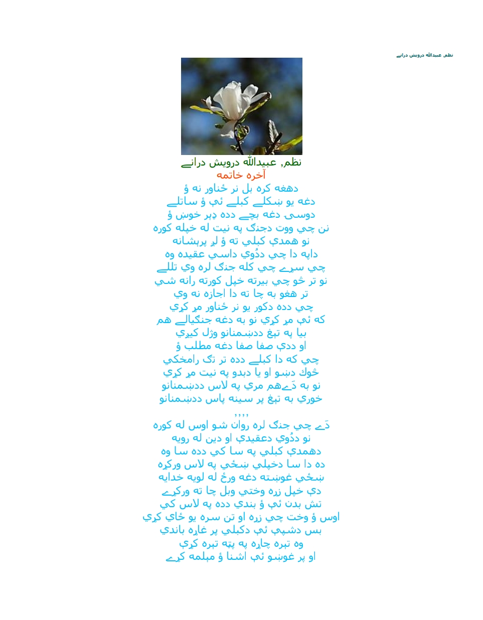 نظم