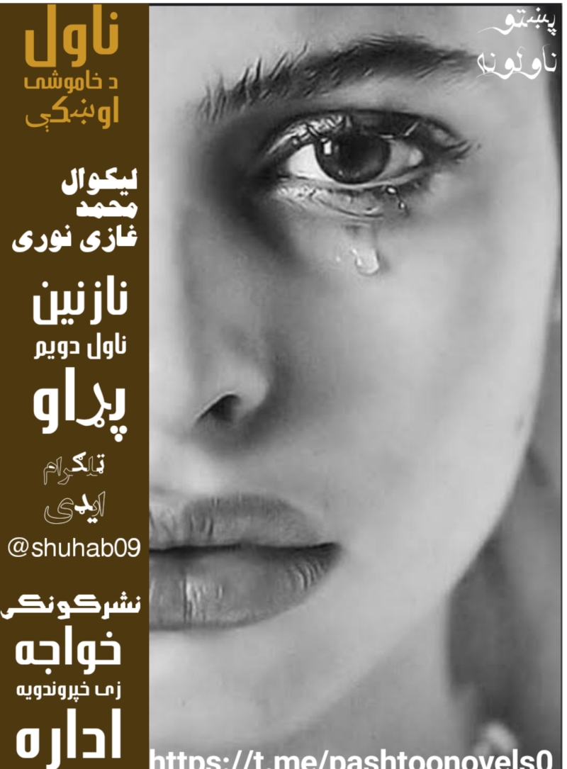 نازنین ناول