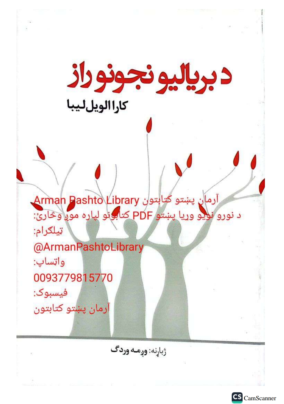 د برياليو نجونو راز