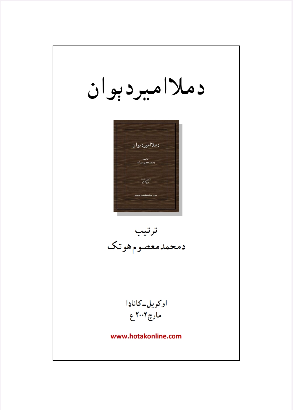 د ملا امير دېوان