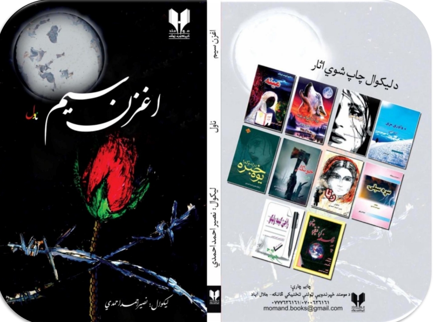 اغزن سیم - ناول