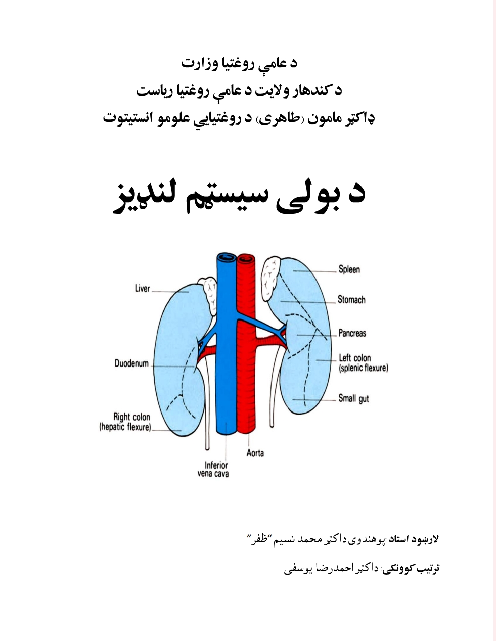 د بولي سیسټم لنډیز