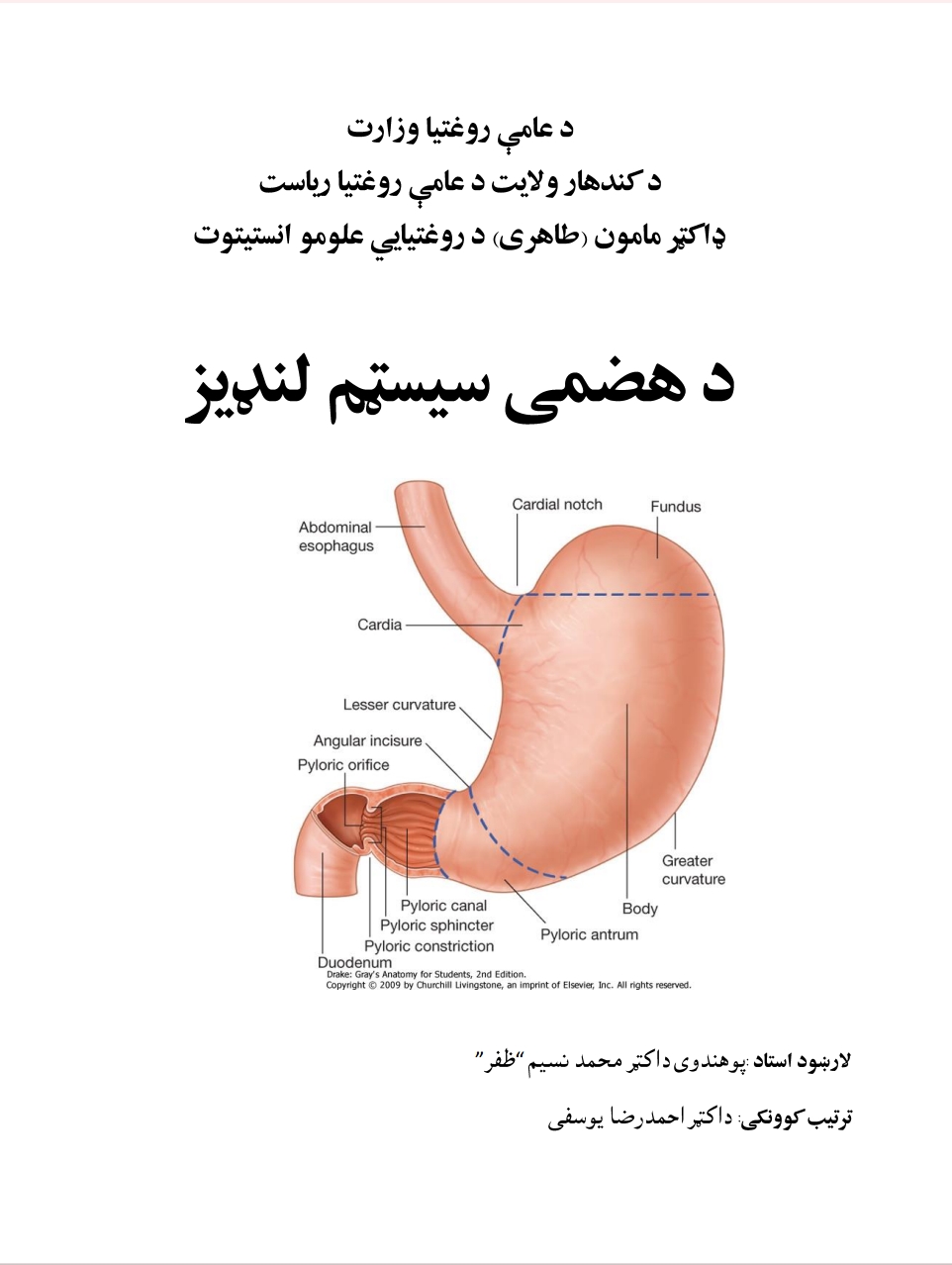 د هضمې سیسټم لنډیز