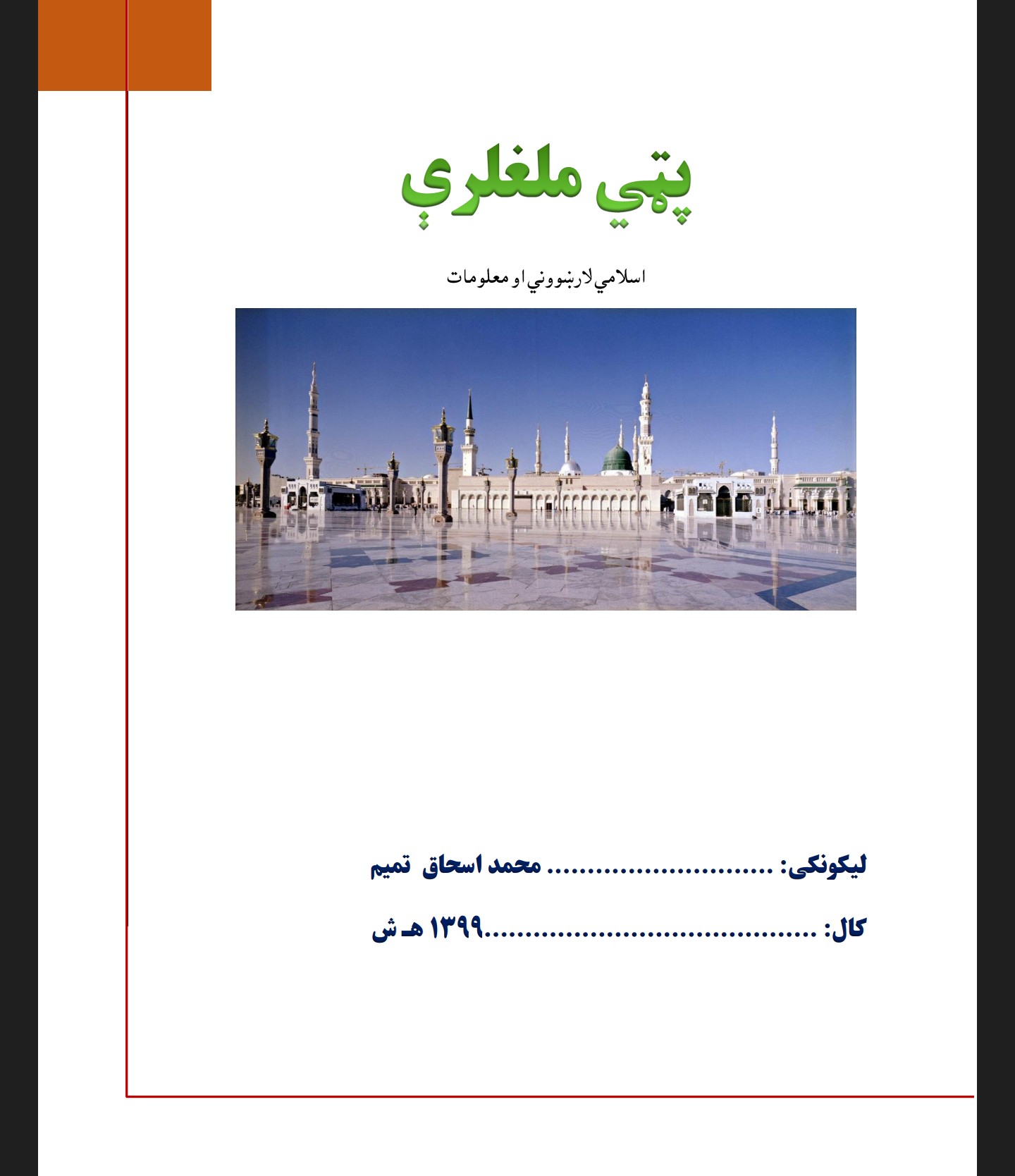 پټي ملغلرې