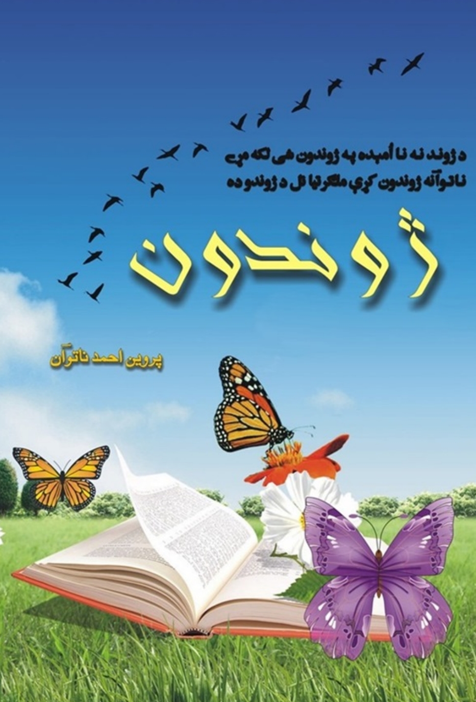 ژوندون