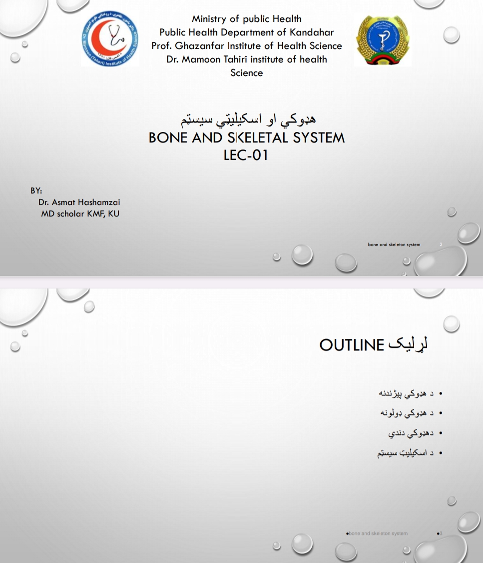 هډوکي او اسکلیټي سیسټم