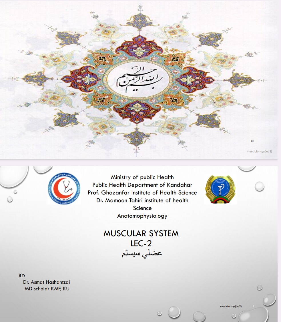 عضلی سیسټم