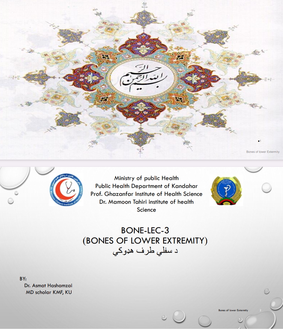 د سفلی طرف هډوکی