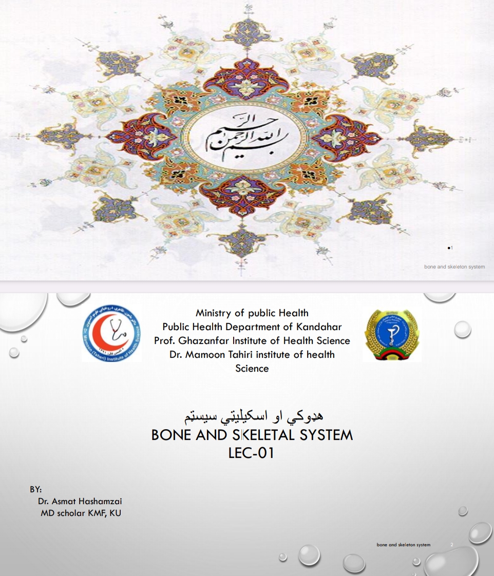 هډوکی او اسکلیټی سیسټم