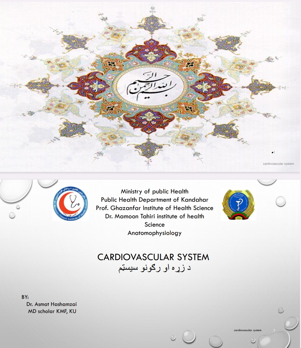 د زړه او رگونو سیسټم