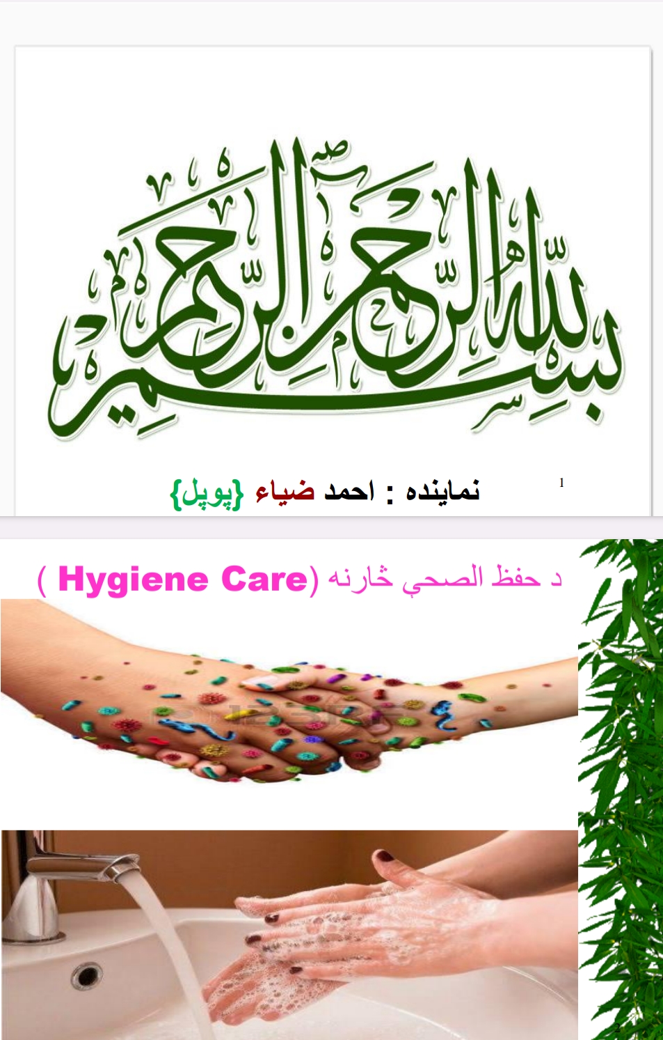 د حفظ الصحې څارنه
