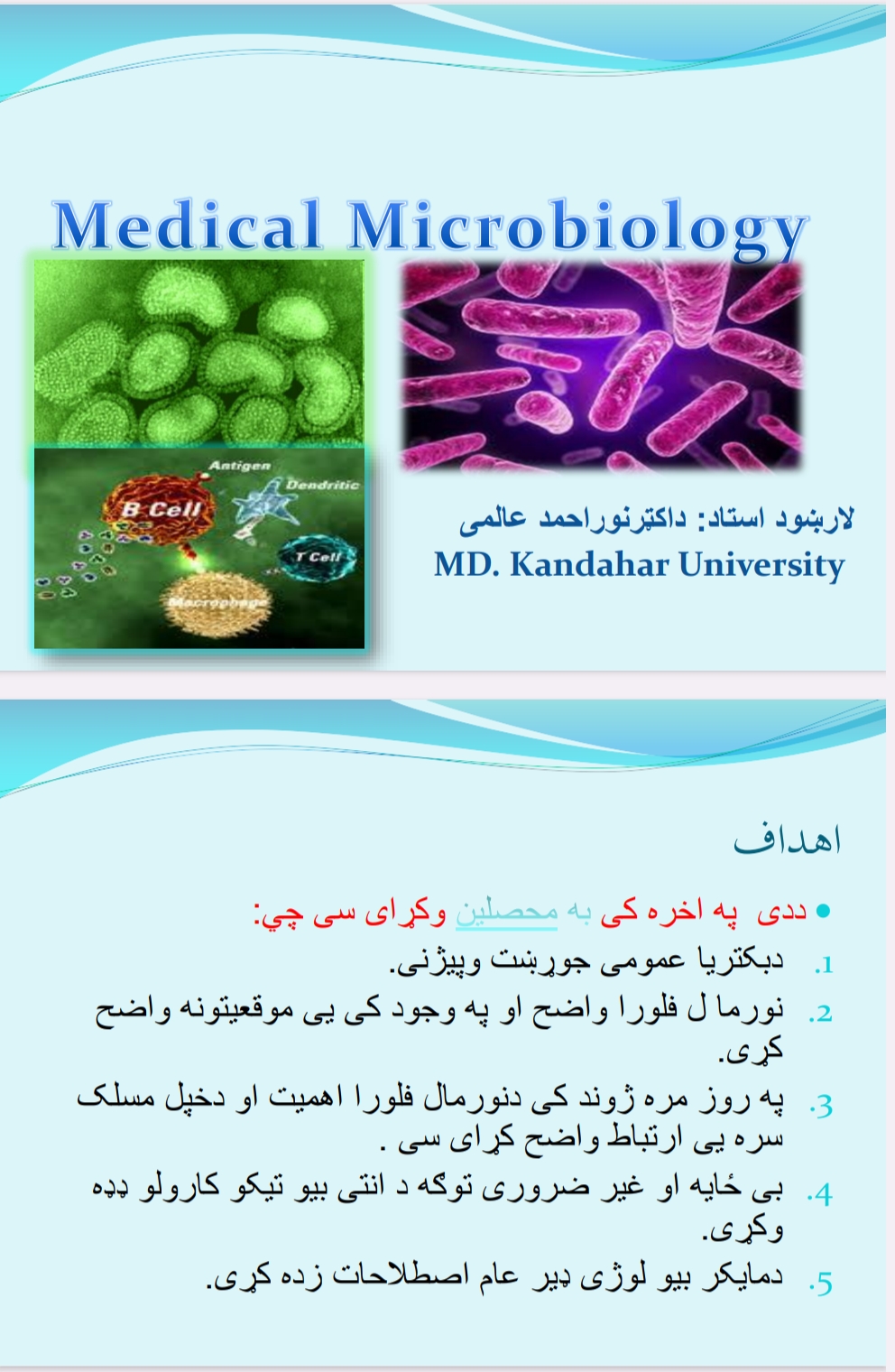 بکتریا