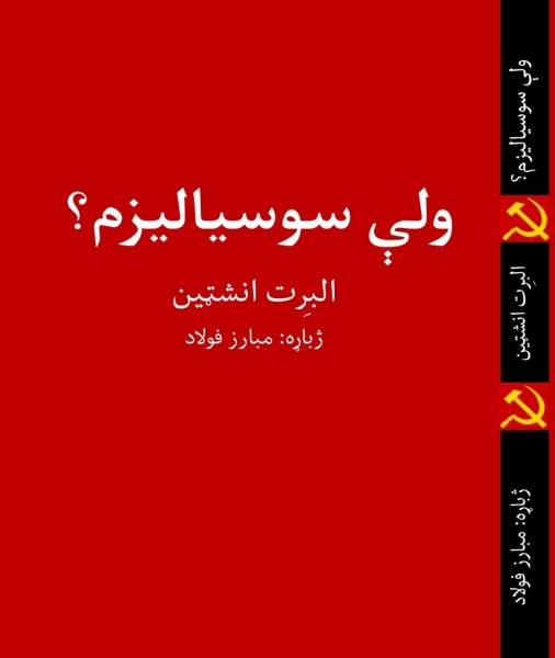 ولي-سوسیالیزم