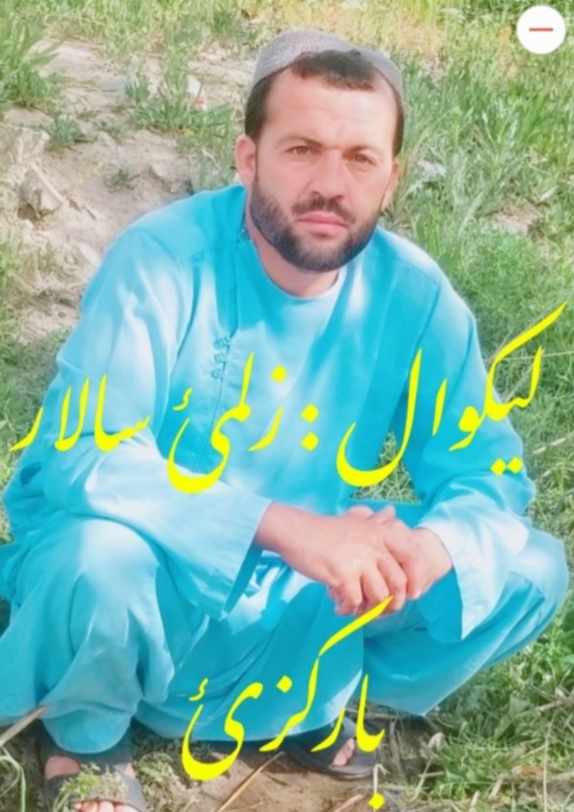 لنډي عبرتناکه کيسي