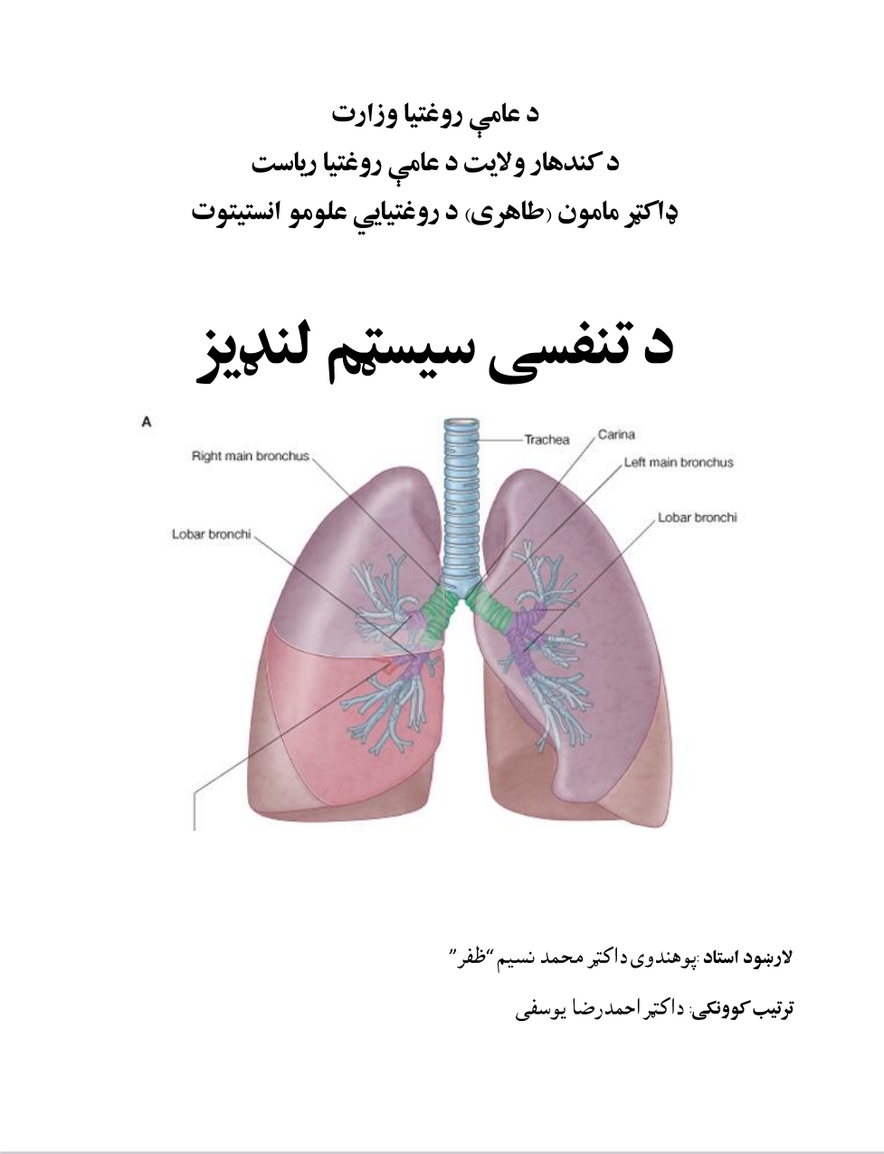 د تنفسي سیسټم لنډیز