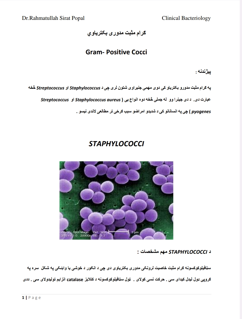 ګرام مثبت مدوی بکتریاوی