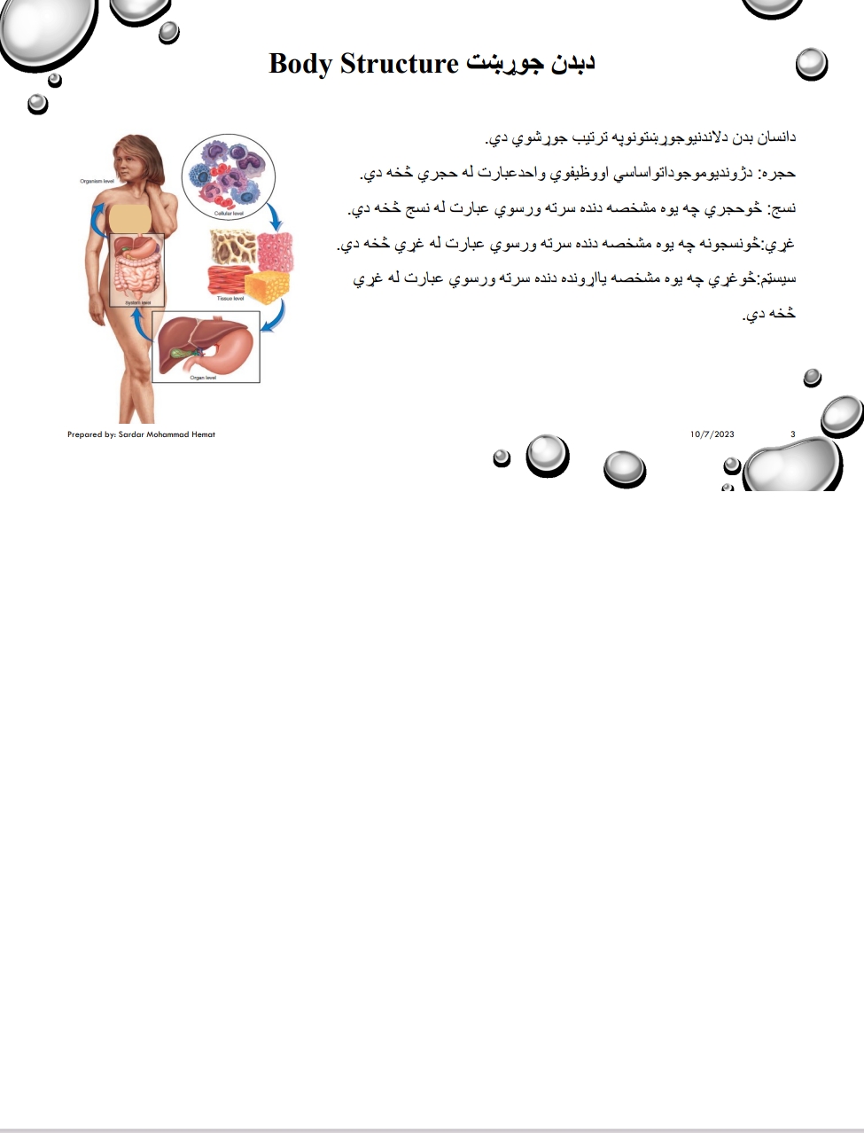 د بدن جوړښت