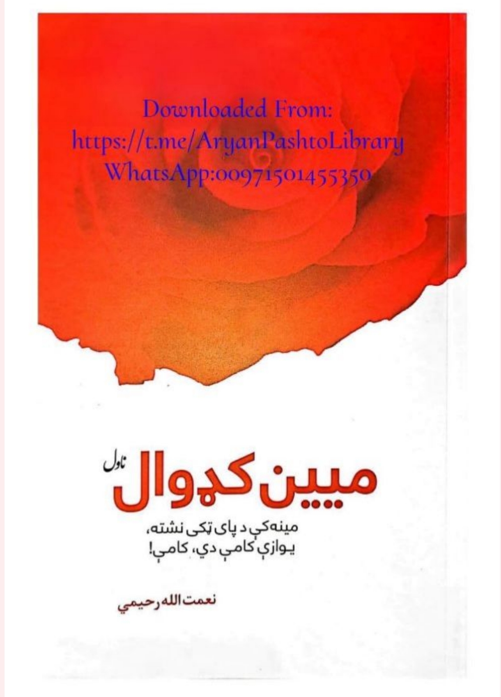ميين کډوال ناول