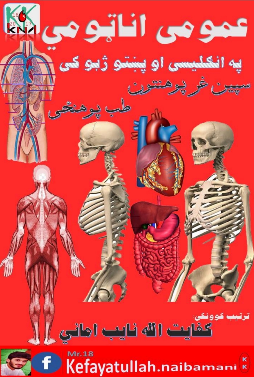 عمومی اناتومي