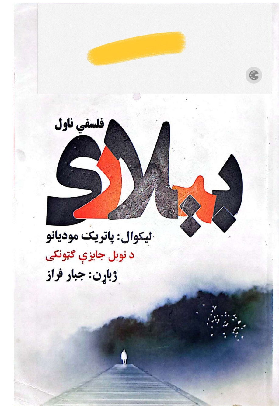 بېلاری (فلسفي ناول)