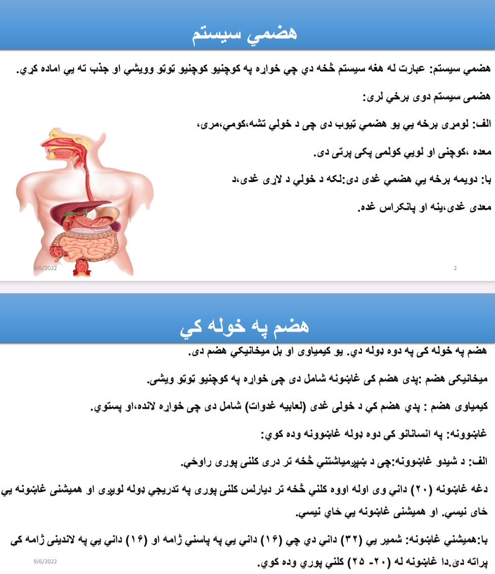 هضمي سیسټم