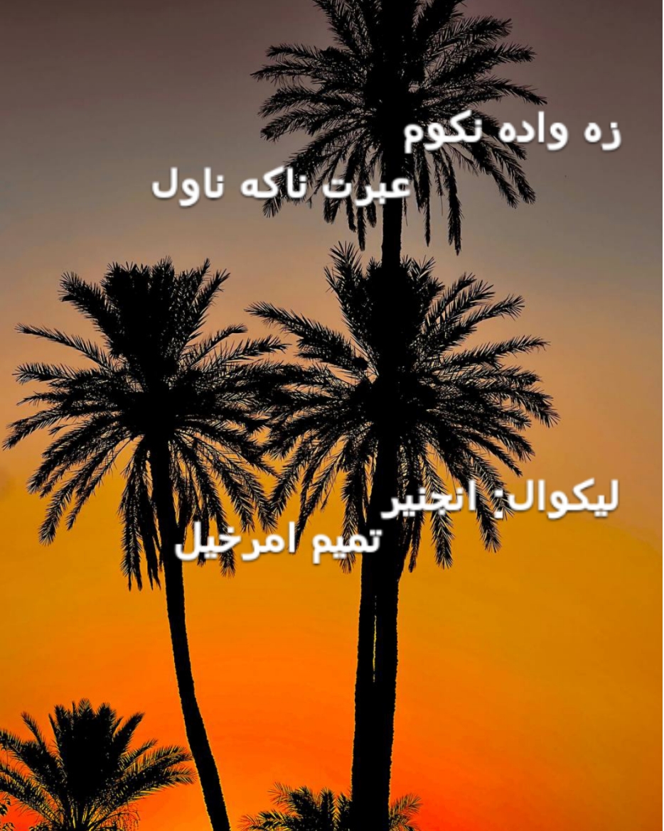 کلیوالي هیلي