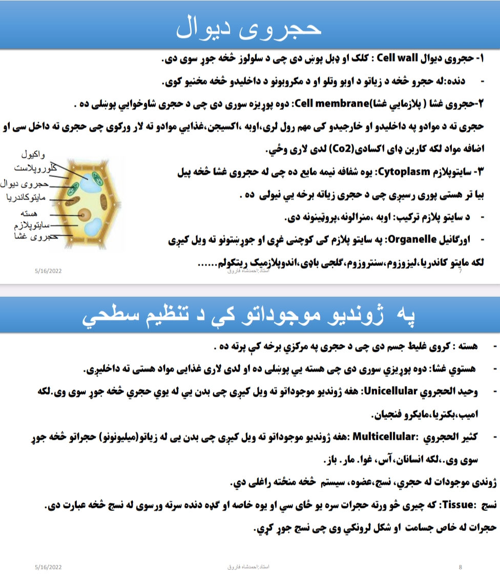 حجروي دېوال
